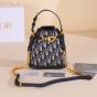 Small C'est Dior Bag