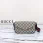 Gucci Ophidia mini bag