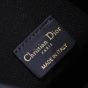 Small C'est Dior Bag