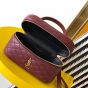 YSL GABY vanity bag in lambskin