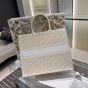 Large Dior Book Tote