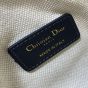 Nano Dior Groove 17 Bag