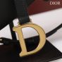 Dior Saddle Bag with Strap