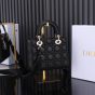 Small Lady Dior My ABCDior Bag