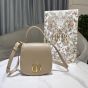Dior Medium 30 Montaigne Avenue Top Handle Bag