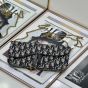 Dior Medium Saddle Pouch with Chain