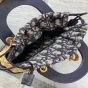 Mini Lady Dior Bag