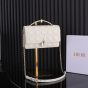 My Dior Top Handle Bag