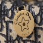 Dior star Hobo Bag with Chain