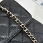 CHANEL Flap Bag with Top Handle