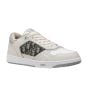 Dior B27 Low-Top Sneaker