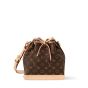 LV Noé BB