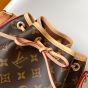 LV Noé BB