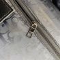 DIOR AND RIMOWA Carry-On Luggage