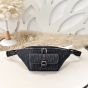 Dior 8 Belt Bag