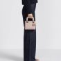 Dior Mini Lady Dior Bag