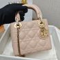 Dior Mini Lady Dior Bag