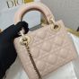 Dior Mini Lady Dior Bag