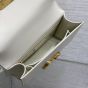 Dior 30 Montaigne Bag