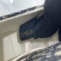 New Dior Bobby Mini Bag