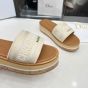 Dior iviera Dway Platform Slide