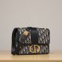 Dior 30 Montaigne Bag
