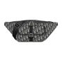 Dior 8 Belt Bag