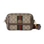 Gucci Ophidia mini bag
