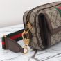 Gucci Ophidia mini bag