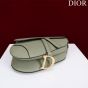 Dior Saddle Bag with Strap