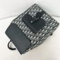 Dior Saddle Backpack with Flap