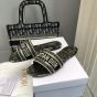 Dior Dway Slide