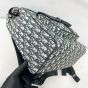 Dior Saddle Backpack with Flap