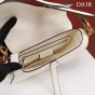 Dior Saddle Bag with Strap