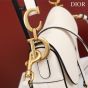 Dior Saddle Bag with Strap