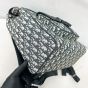 Dior Saddle Backpack with Flap