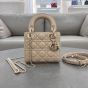 Mini Lady Dior Bag