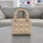 Mini Lady Dior Bag