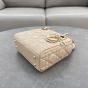 Mini Lady Dior Bag