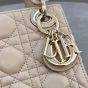 Mini Lady Dior Bag