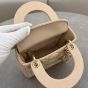 Mini Lady Dior Bag