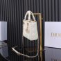 Mini Lady Dior Bag