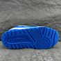 LV Trainer Maxi Sneaker