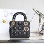 Mini Lady Dior Bag