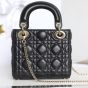 Mini Lady Dior Bag