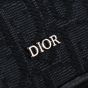 Dior Safari Bag with Strap