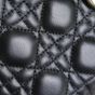 Mini Lady Dior Bag