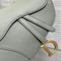 Dior Saddle Bag with Strap
