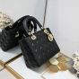 Medium Lady Dior Bag
