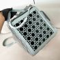 Dior Hit the Road Pet Carrier Bag